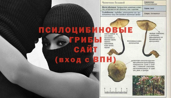 каннабис Абаза