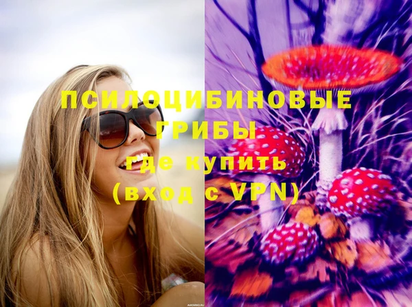 а пвп мука Алзамай