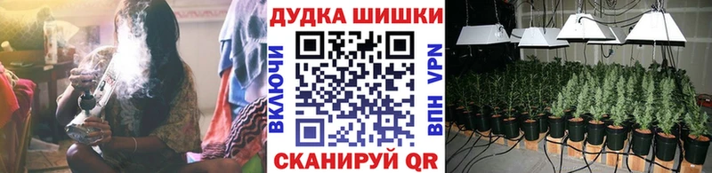 MEGA онион  купить  сайты  Южа  Шишки марихуана семена 